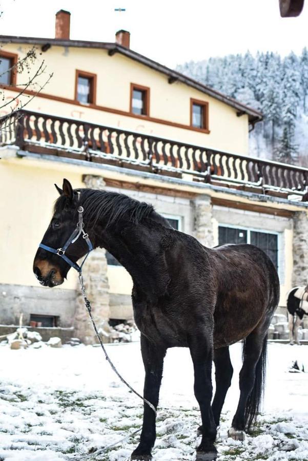 Вілла Zacisze Trzech Gor Єдліна-Здруй Екстер'єр фото